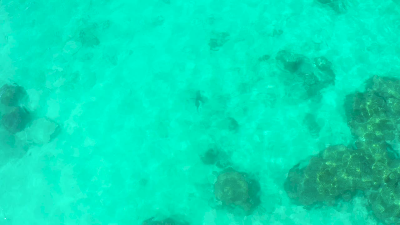 Clear blue-green water in Cabo Pulmo shows several darker rock clusters under shifting surface light, with no visible people.