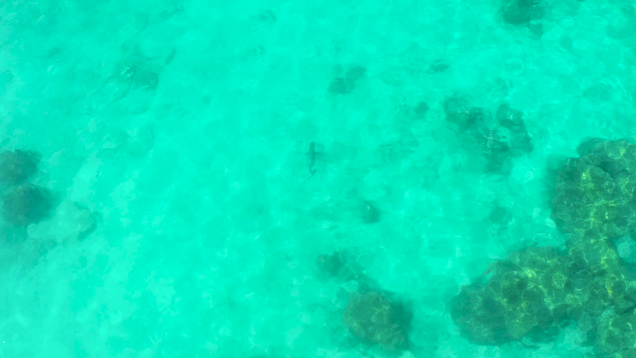 Submerged rocks appear through rippled turquoise water in Cabo Pulmo, with the frame remaining empty of boats, people, and text.