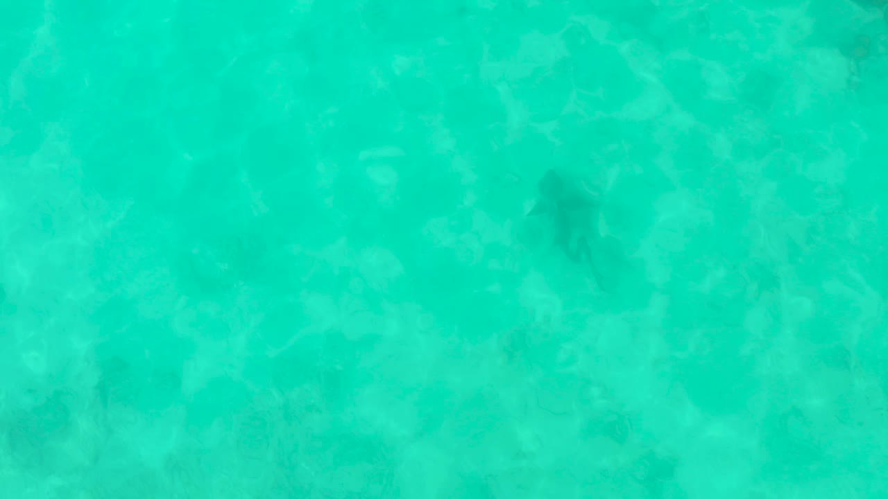 A darker fish shape is visible beneath the turquoise water in Cabo Pulmo, with mottled rock texture beginning to show through and no visible people.