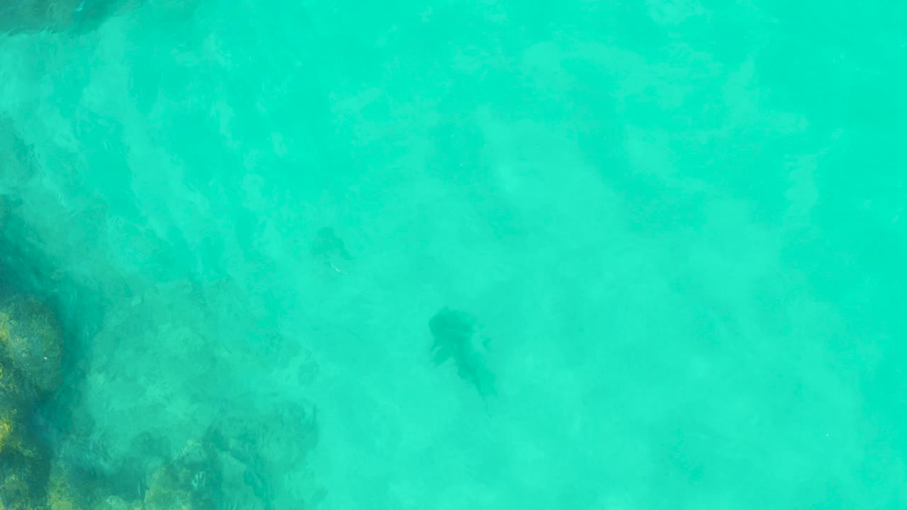 At 0:00 in Cabo Pulmo, clear turquoise shallows show a dark stingray shape near center-right and coral rock texture along the left edge, with no visible people.