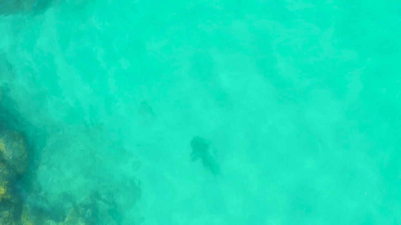 At 0:01 in Cabo Pulmo, the stingray remains visible under turquoise water while a darker coral and rock patch sits along the left side, with no visible people.