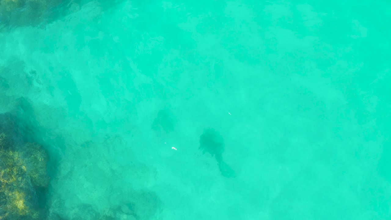 At 0:02 in Cabo Pulmo, the overhead frame shows a stingray silhouette under clear aqua water, with reef rocks pressed to the left edge and no visible people.