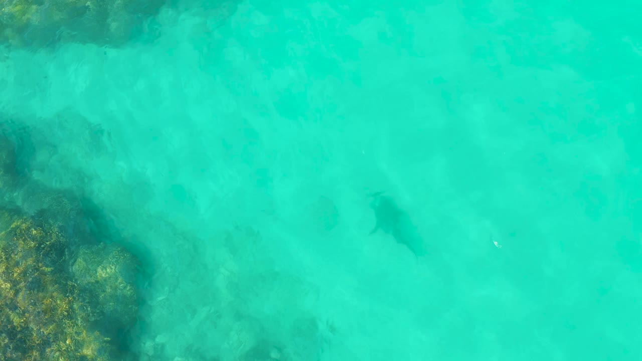 Turquoise shallows with a dark ray shape and coral rocks in the lower left.