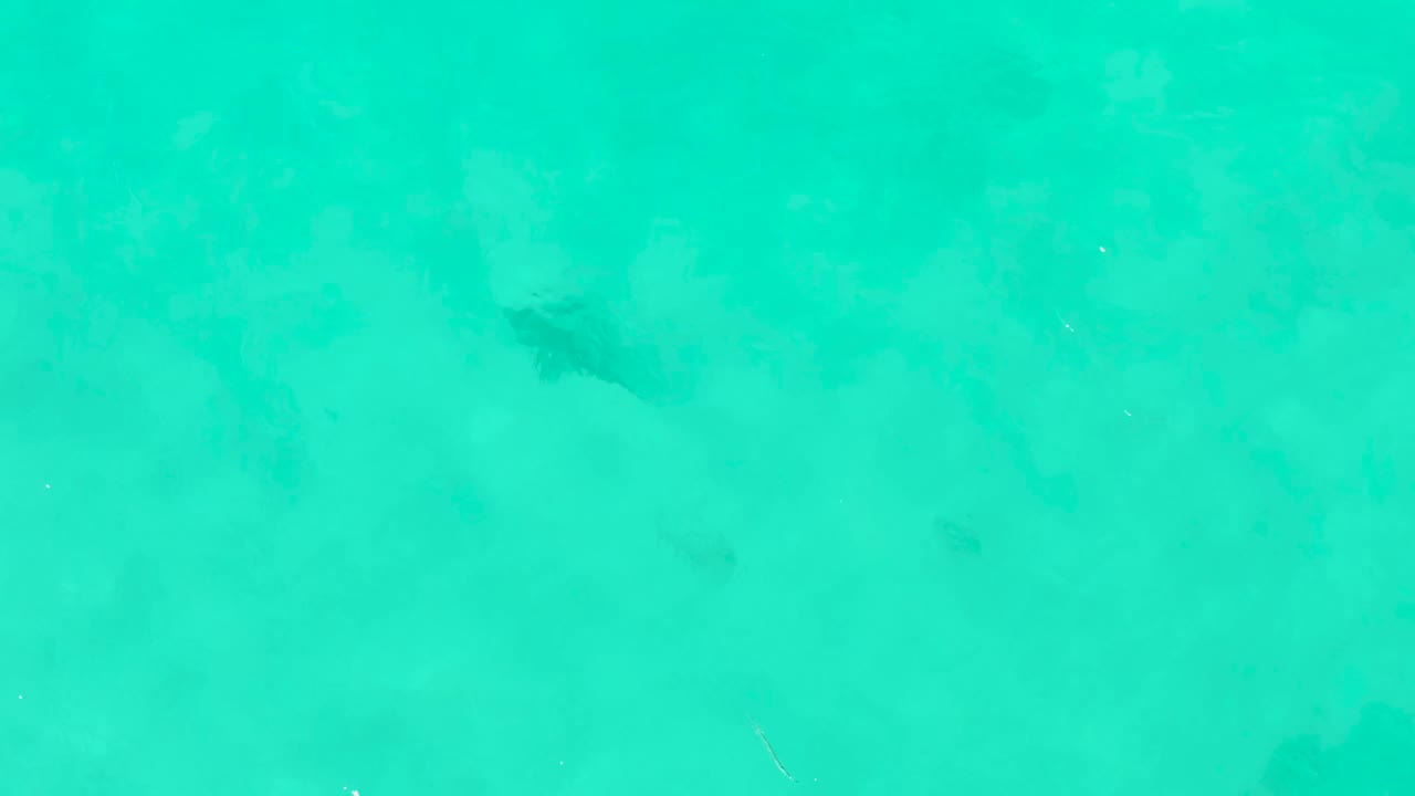 The fish sits farther across the turquoise frame, surrounded by cloudy underwater sand patterns in Cabo Pulmo and no visible people.