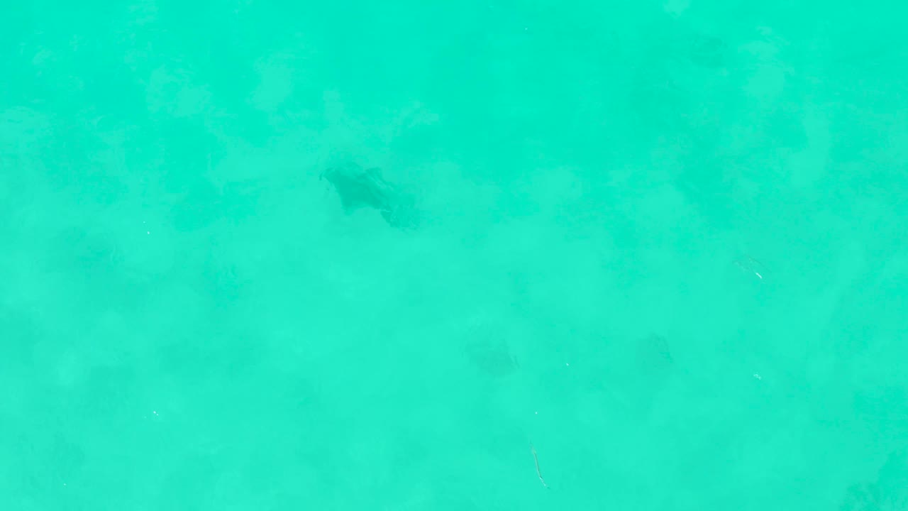 A dark fish remains visible below the bright shallow ocean surface, with soft reflected light and no visible people in the Cabo Pulmo water.