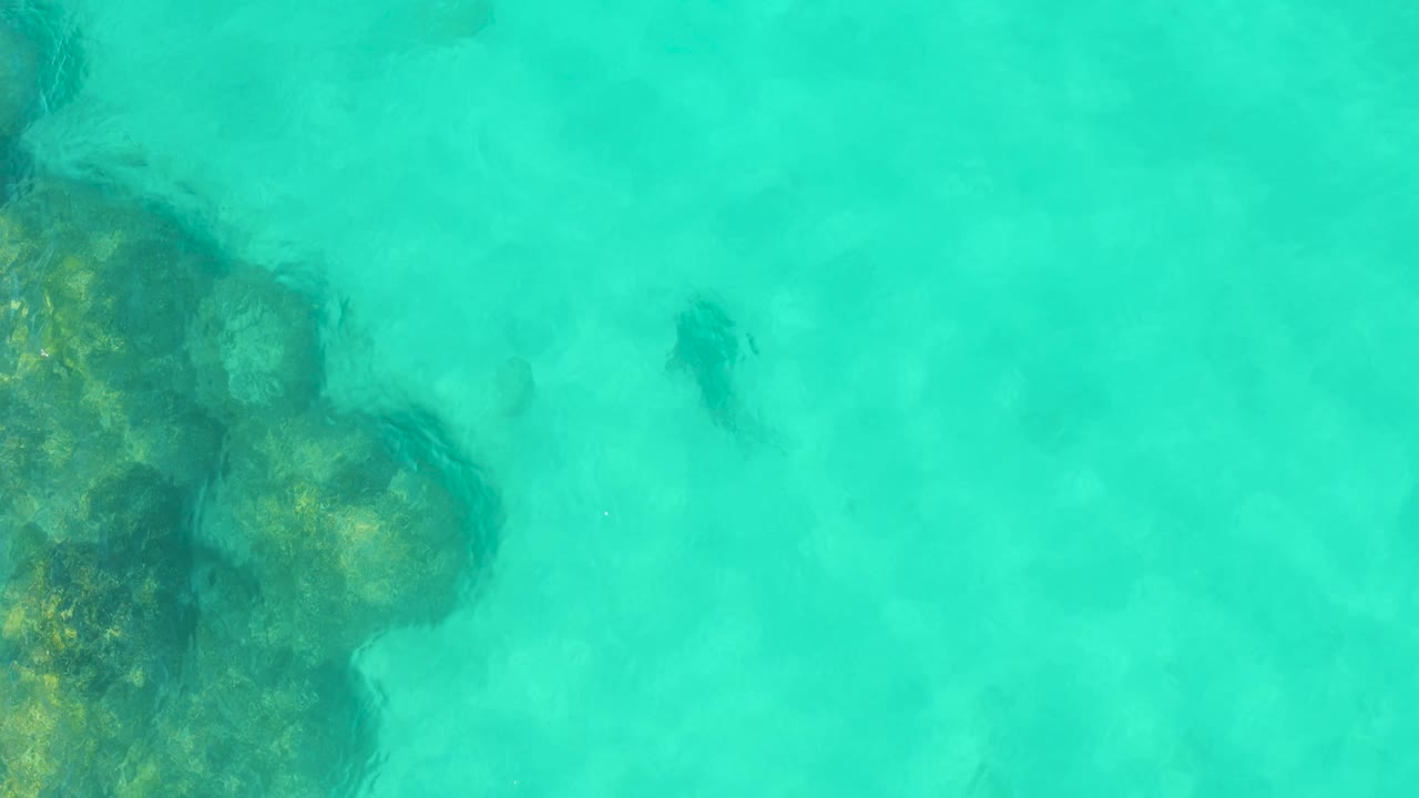Overhead Cabo Pulmo frame with a larger dark rock patch along the left edge, pale sand-toned seabed below the water, and small fish shapes nearby, no visible people.