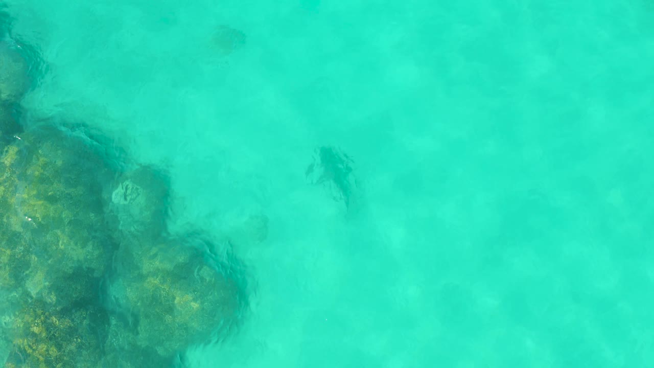 Aerial view over Cabo Pulmo water with dark rocks entering from the left, a small fish shape near the upper center, and the rest of the frame filled by clear turquoise shallows, no visible people.