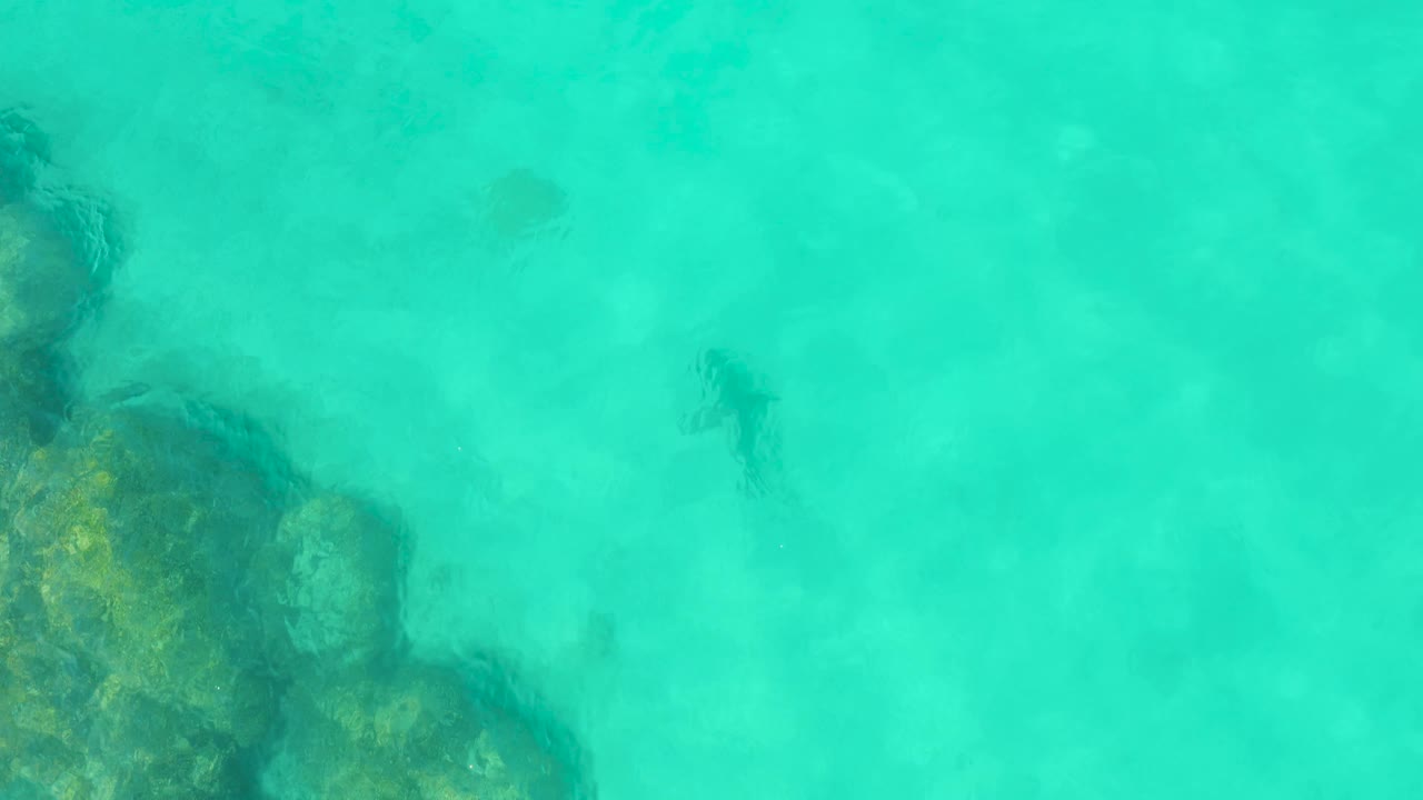 Clear Cabo Pulmo water seen from above with dark rocks on the left and several small fish-like shadows spread across the shallow seabed, no visible people.