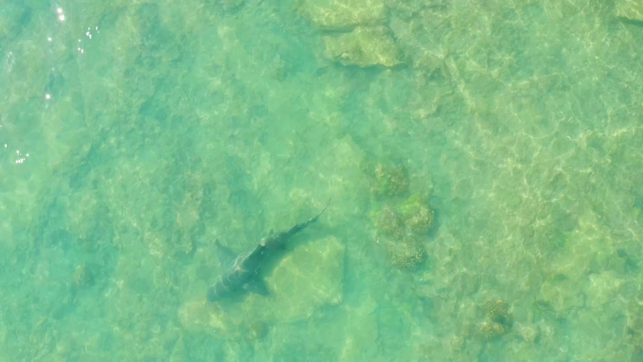 A wider overhead moment in Cabo Pulmo, Mexico, shows clear turquoise shallows, scattered rocks, coral patches, sun glints, and a faint shark form with no visible people.