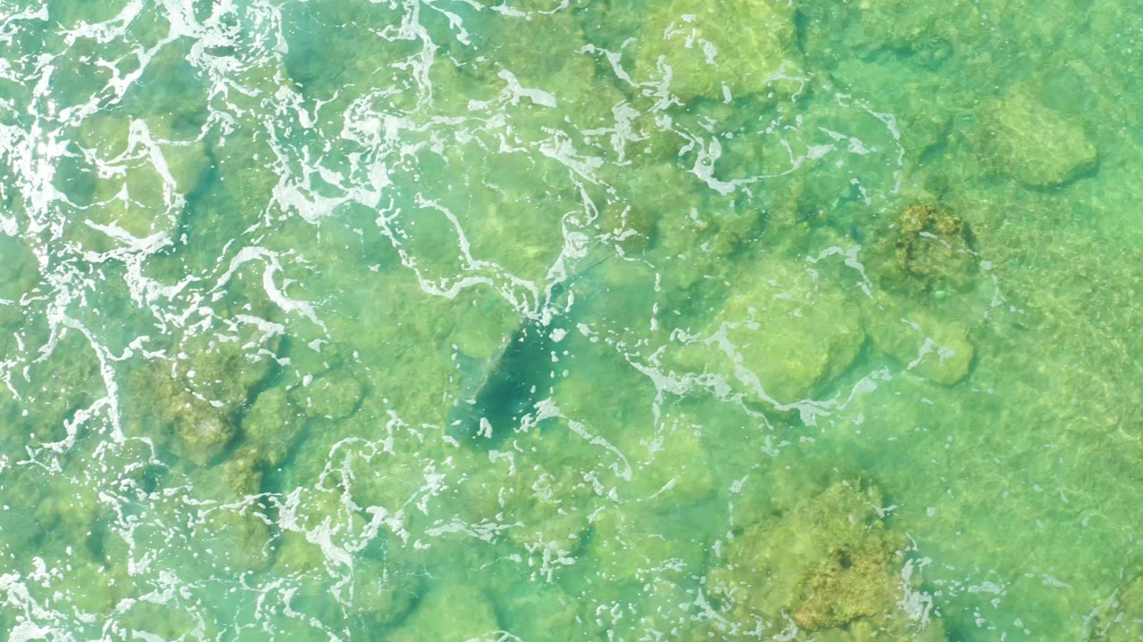 Clear green water over rocks with a dark fish near the lower left