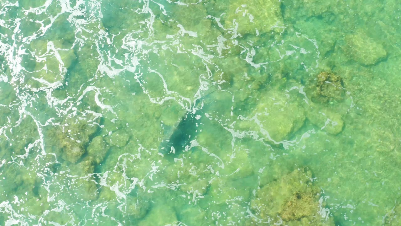 Overhead Cabo Pulmo frame with white foam crossing the upper water, large submerged rocks, and the fish still visible below the surface toward the lower left, with no visible people.
