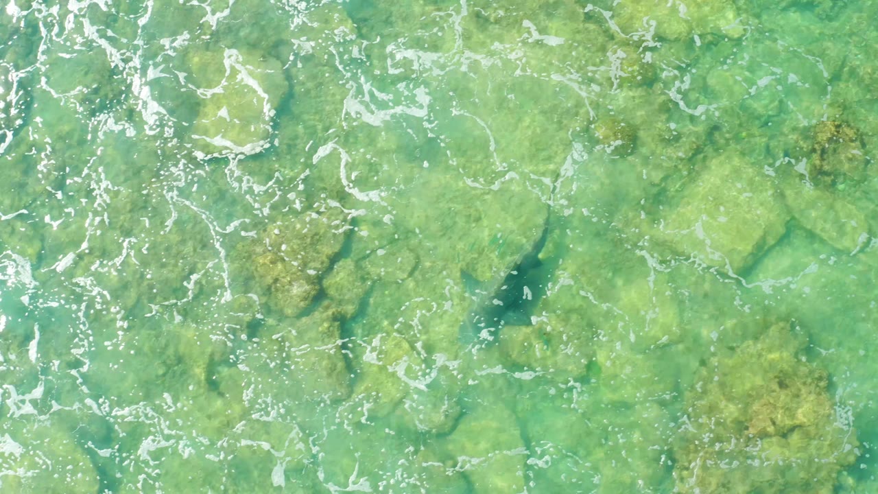 Turquoise and green shallow water in Cabo Pulmo shows scattered rocks, streaks of foam, and a dark fish shape below the surface near the left side, with no visible people.