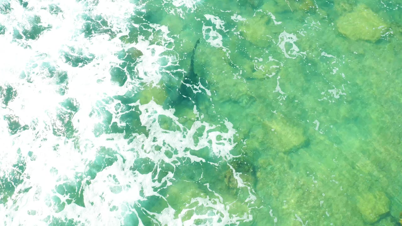 A top-down Cabo Pulmo view showing white foam broken into lace-like patches over transparent turquoise water and submerged rock shapes, no visible people.