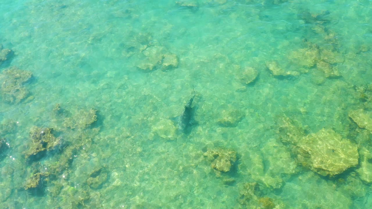 Turquoise shallow water over a rocky seabed with a dark fish near center left.