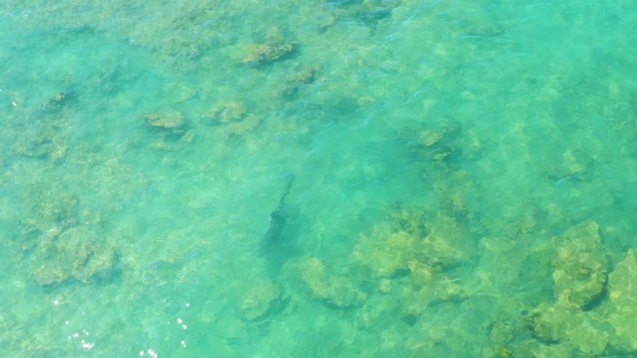 Clear turquoise water over coral rocks with a dark fish near the lower left.