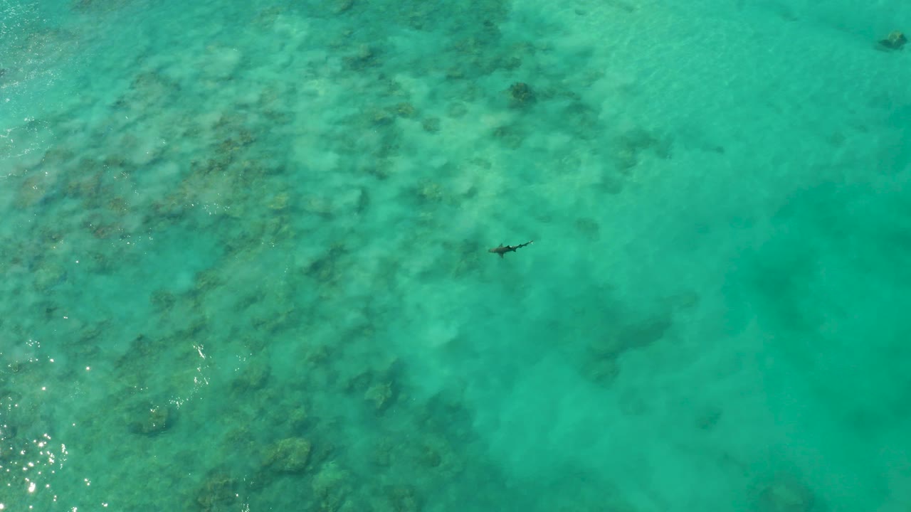 High overhead view in Cabo Pulmo of a small swimmer near the upper center moving over clear turquoise water with darker coral or rock patches below.