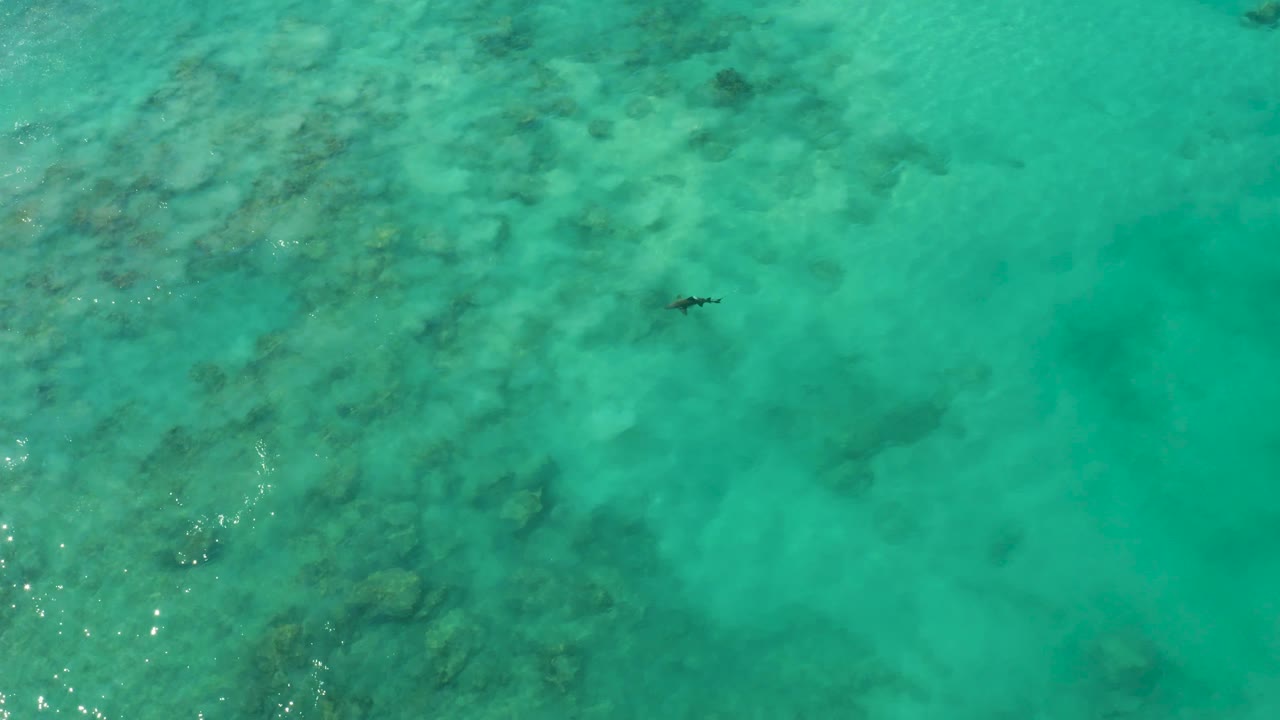Overhead Cabo Pulmo water frame with the swimmer near the upper area and a larger darker patch of seabed visible beneath the clear turquoise surface.