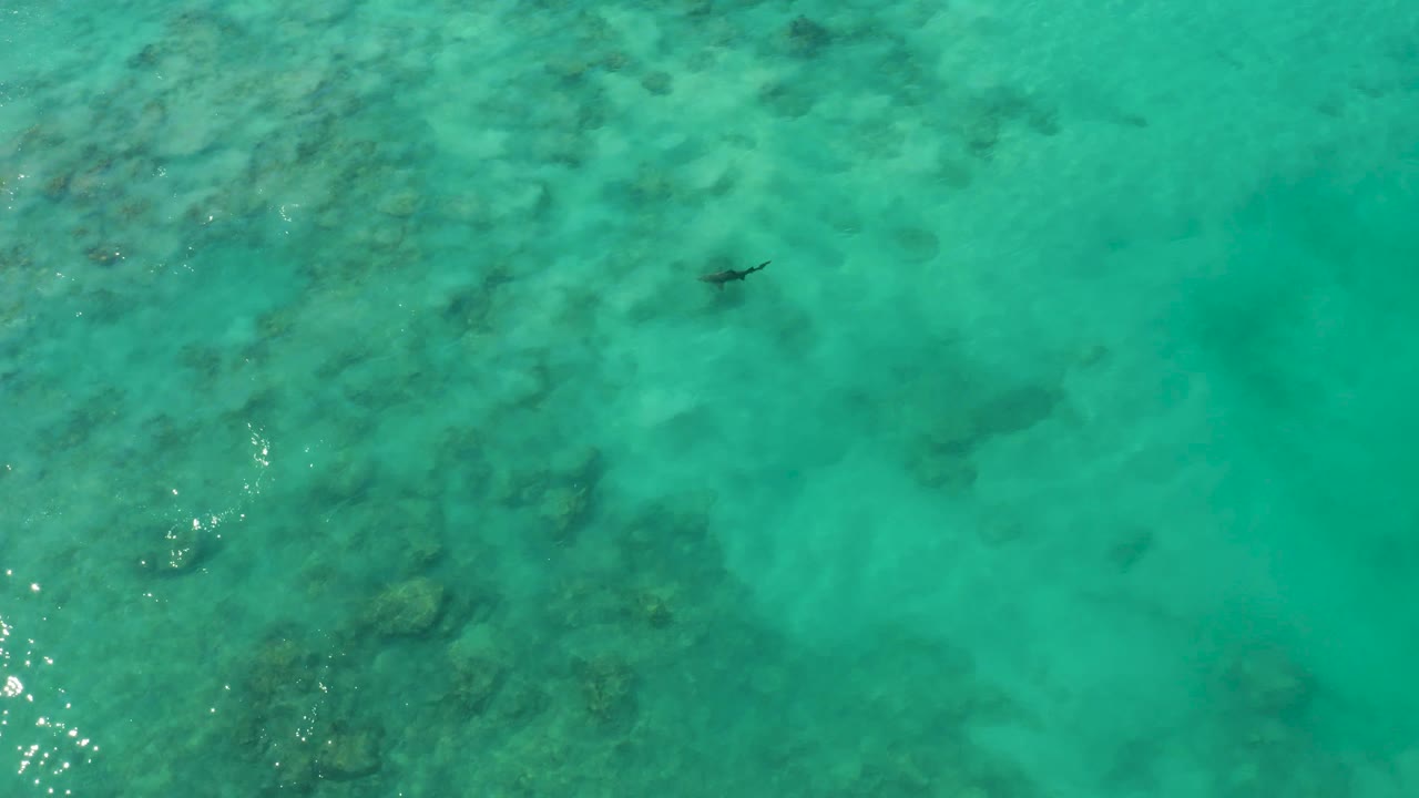 Aerial view of a swimmer over clear water with sunlight glints at the edge.