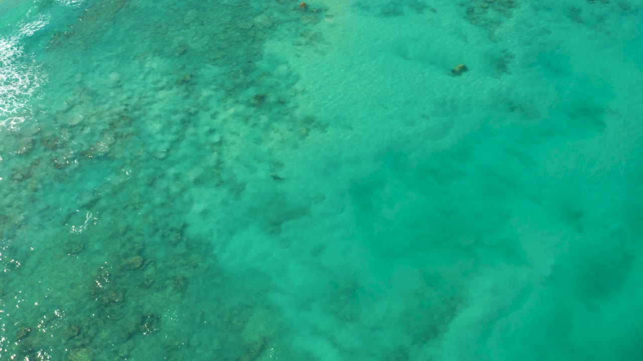 High overhead view of clear turquoise water over patchy reef and sandy seabed in Cabo Pulmo, with no visible people in this opening frame.