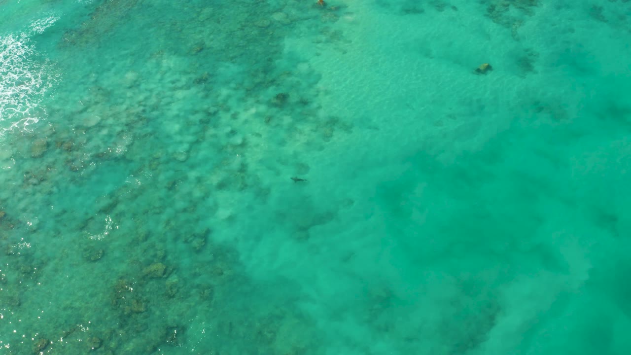 Overhead view of Cabo Pulmo's shallow blue-green water, with reef texture spread across the left half and no clearly visible swimmer in the frame.