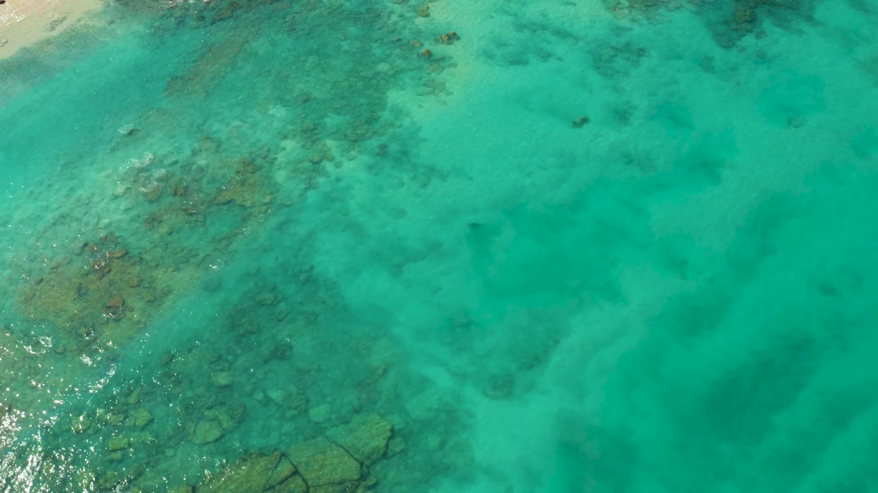 Overhead Cabo Pulmo water view with pale sand near the top edge, darker reef areas below the surface, and no visible people.
