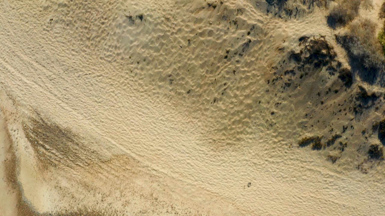 Overhead view of rippled sandy terrain and scattered scrub in Cabo Pulmo, Baja California Sur, with no vehicles centered yet and no visible people.
