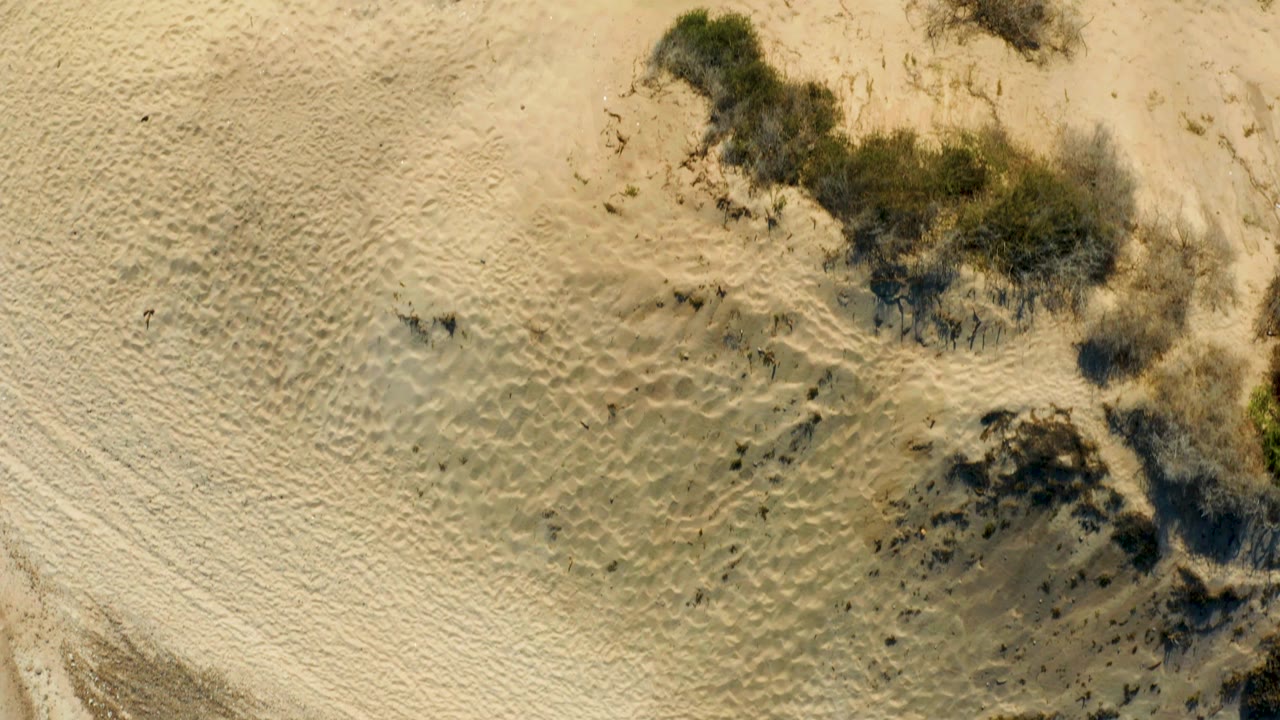 The aerial view returns to textured sandy ground in Cabo Pulmo, with darker scrub clusters, curved tire marks, and no visible people or readable markings.