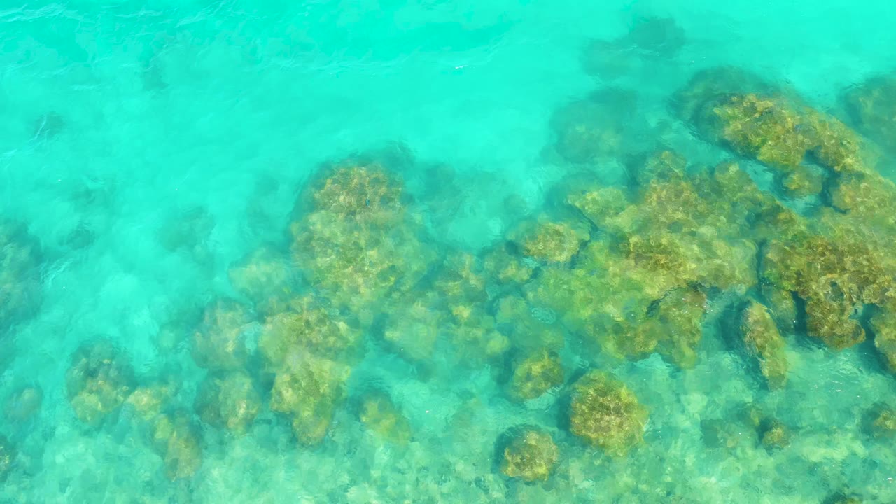 Top-down view of clear turquoise water over a clustered rocky seabed in Cabo Pulmo, Mexico, with no visible people.