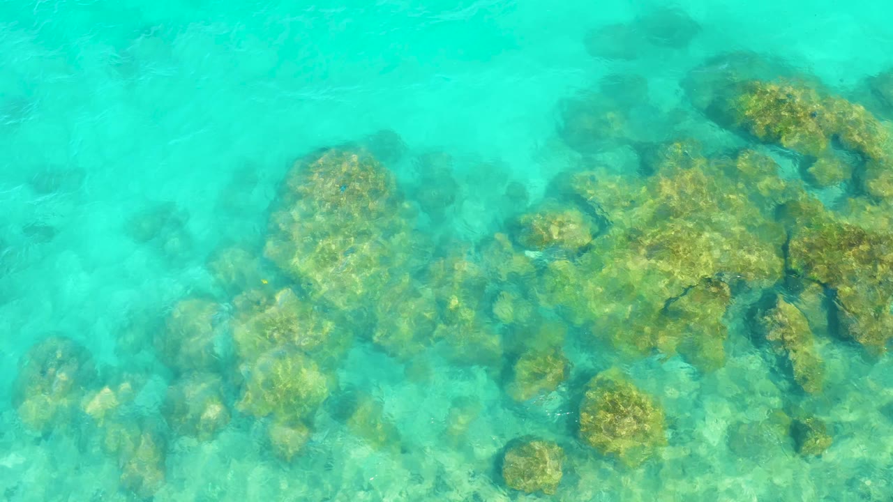 A slightly shifted overhead view shows larger submerged rocks near the right side of the Cabo Pulmo water frame, with no visible people.