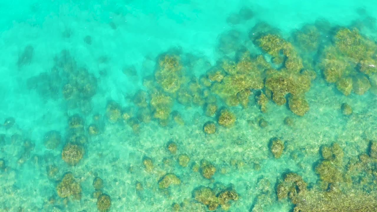 Clear shallow ocean water over clustered coral