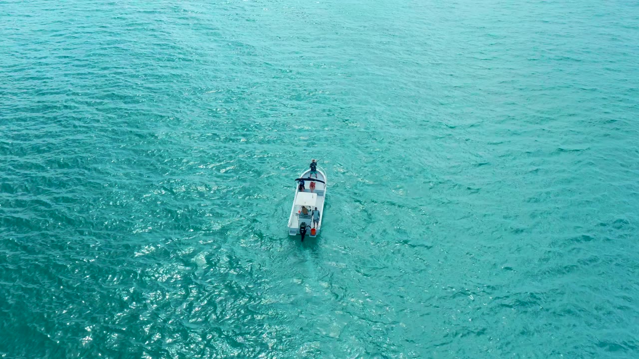 Overhead aerial frame near Marquis Los Cabos shows a small white boat low in the frame on turquoise ocean water with no visible people.