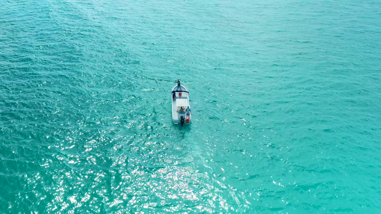 Overhead drone-style frame of a small boat on bright turquoise water at Marquis Los Cabos, with a pale wake and no visible people.