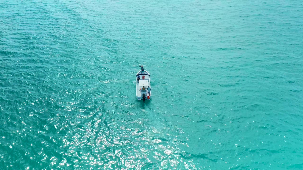 Boat leaving a wake across shimmering blue-green water.