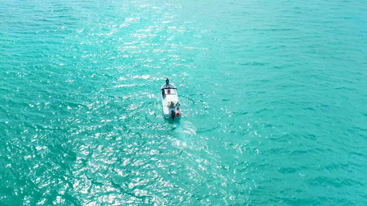A compact white vessel appears against bright turquoise water near Marquis Los Cabos, with shimmering sunlight on the surface and no visible people.