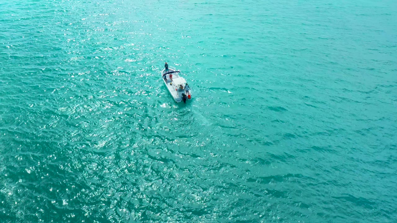 Small white motorboat near the upper left of bright turquoise ocean water at Marquis Los Cabos, with sun flecks and no discernible people visible.