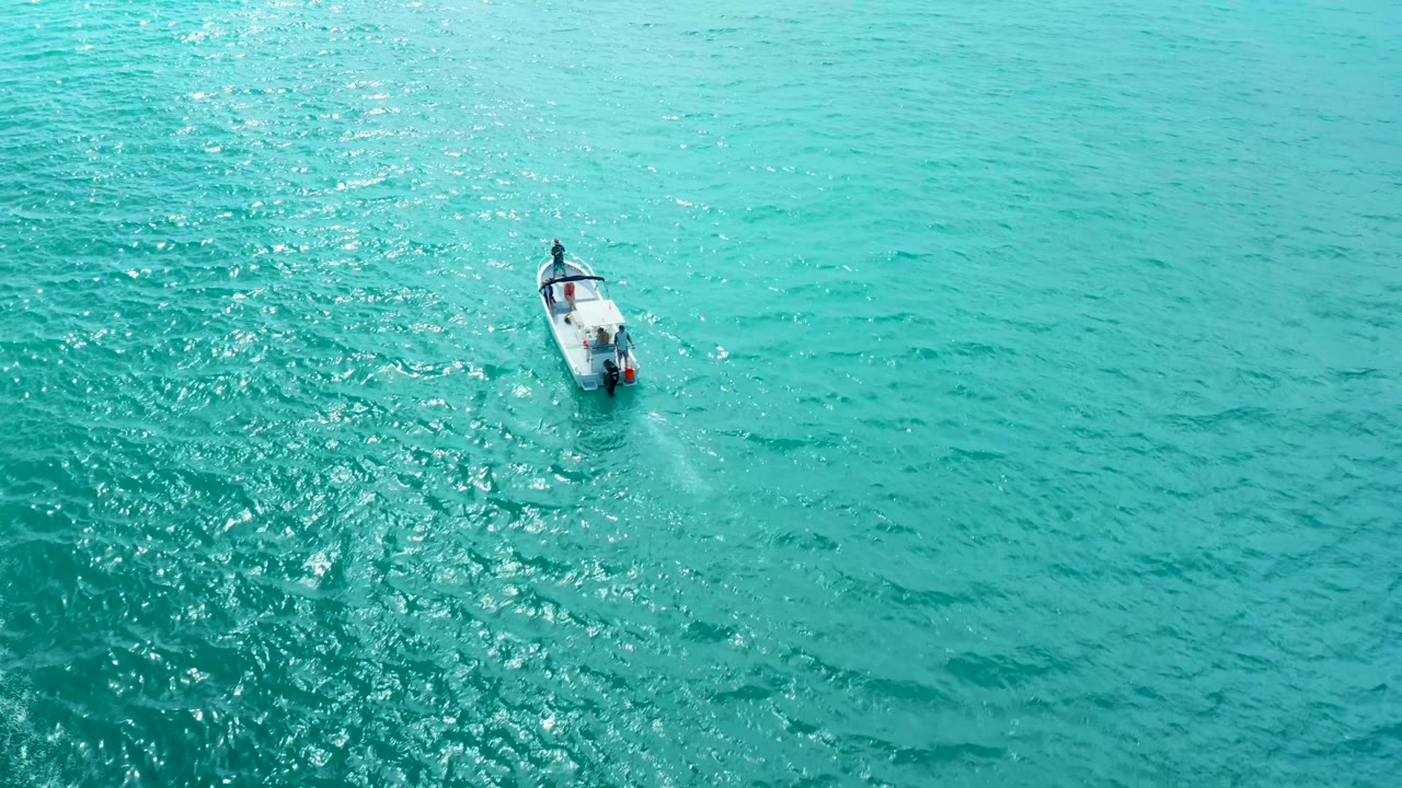 A small white motorboat sits in open turquoise water at Marquis Los Cabos, with brighter sun sparkle to one side and no discernible people visible.
