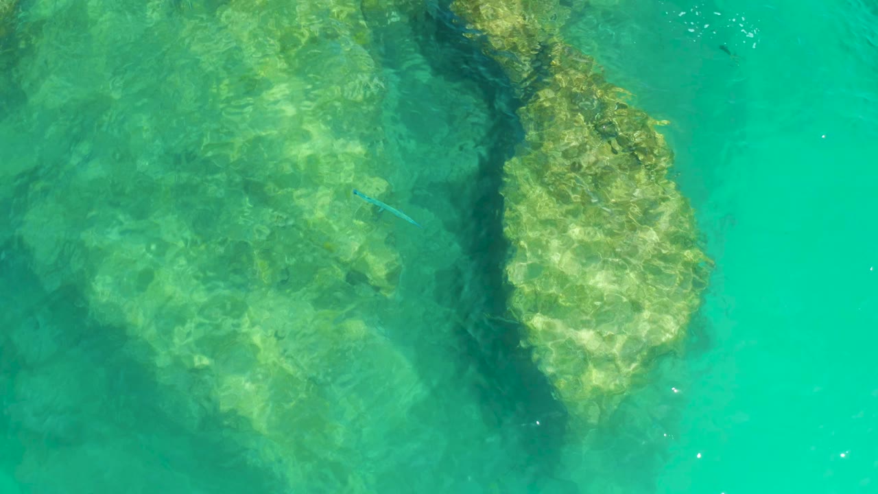 Overhead view of clear turquoise water at Dreams Los Cabos, with submerged rocks, rippled sunlight, a small fish near the rocks, and no visible people.