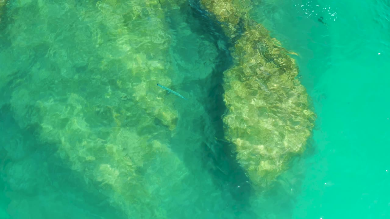 A clear overhead frame at Dreams Los Cabos shows a darker gap between submerged rocks, sunlight patterns on the seabed, a small fish near center, and no visible people.