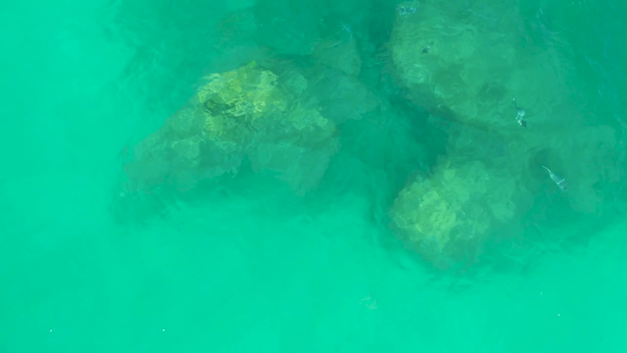 Bright turquoise water covers several dark submerged rocks at Dreams Los Cabos, with yellow-green highlights on the rock tops and no visible people.