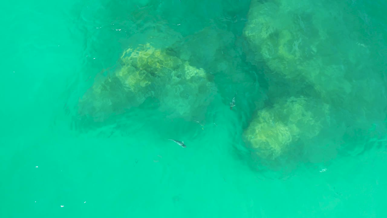 Top-down Dreams Los Cabos frame showing a large rock cluster near the upper center, a lighter rock below it, and small swimmers in the surrounding turquoise water.