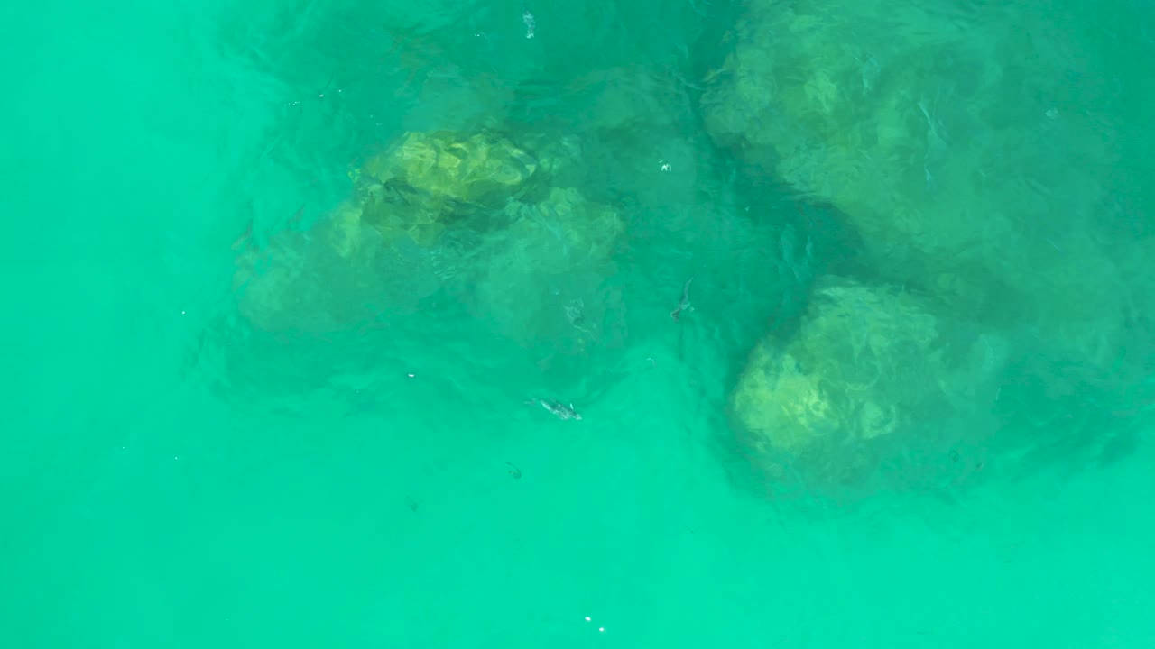 Submerged rocks beneath turquoise water with swimmers at left and lower center.
