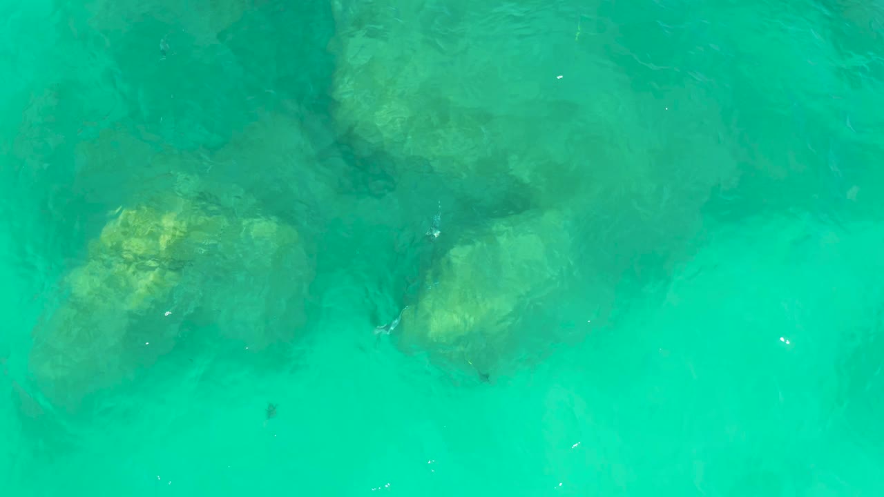 Turquoise water over submerged rocks and small fish.