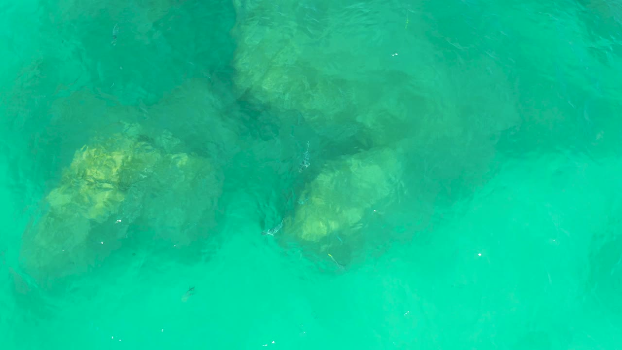 A pale rock cluster sits under rippled turquoise water at Dreams Los Cabos, with a few small fish visible and no visible people.