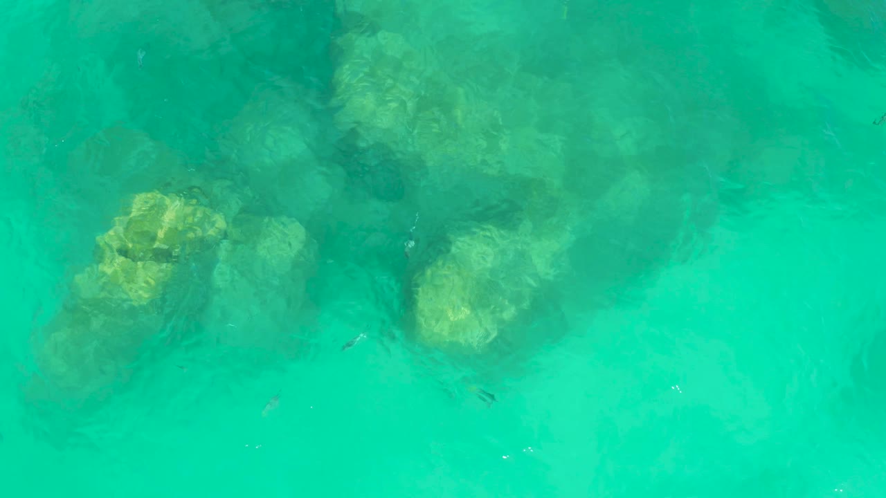 Small dark fish appear around submerged rocks in clear green-blue water at Dreams Los Cabos, with no visible people.