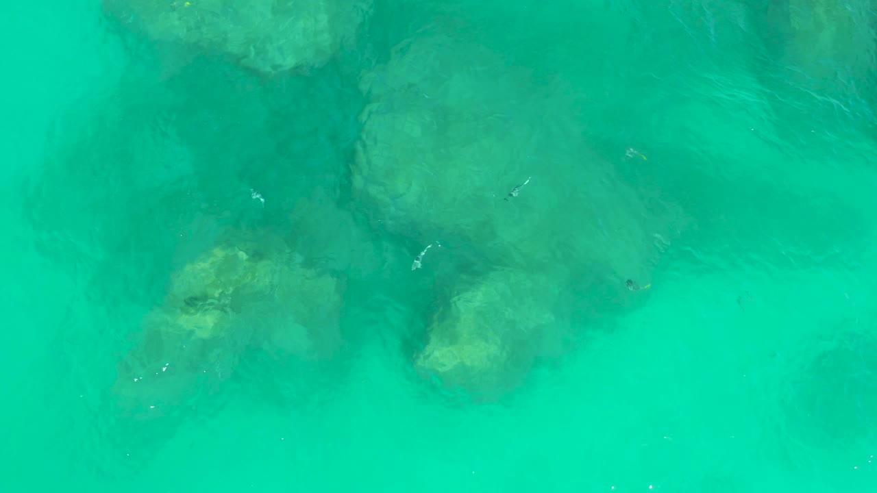 Overhead view of turquoise water at Dreams Los Cabos with submerged rocks near the upper frame, scattered small fish, and no visible people.
