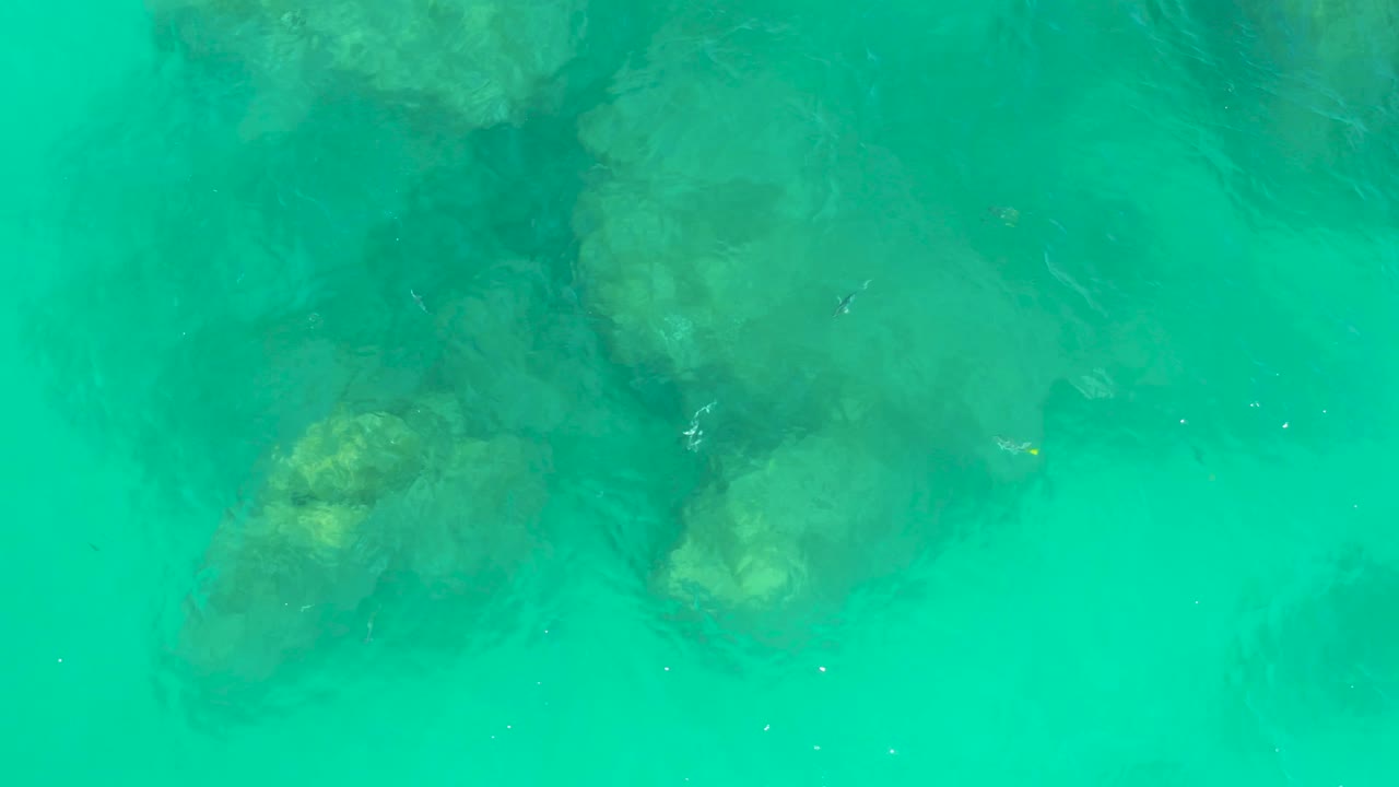 Turquoise water fills the frame at Dreams Los Cabos as submerged rocks sit near the center and small fish appear as dark marks, with no visible people.
