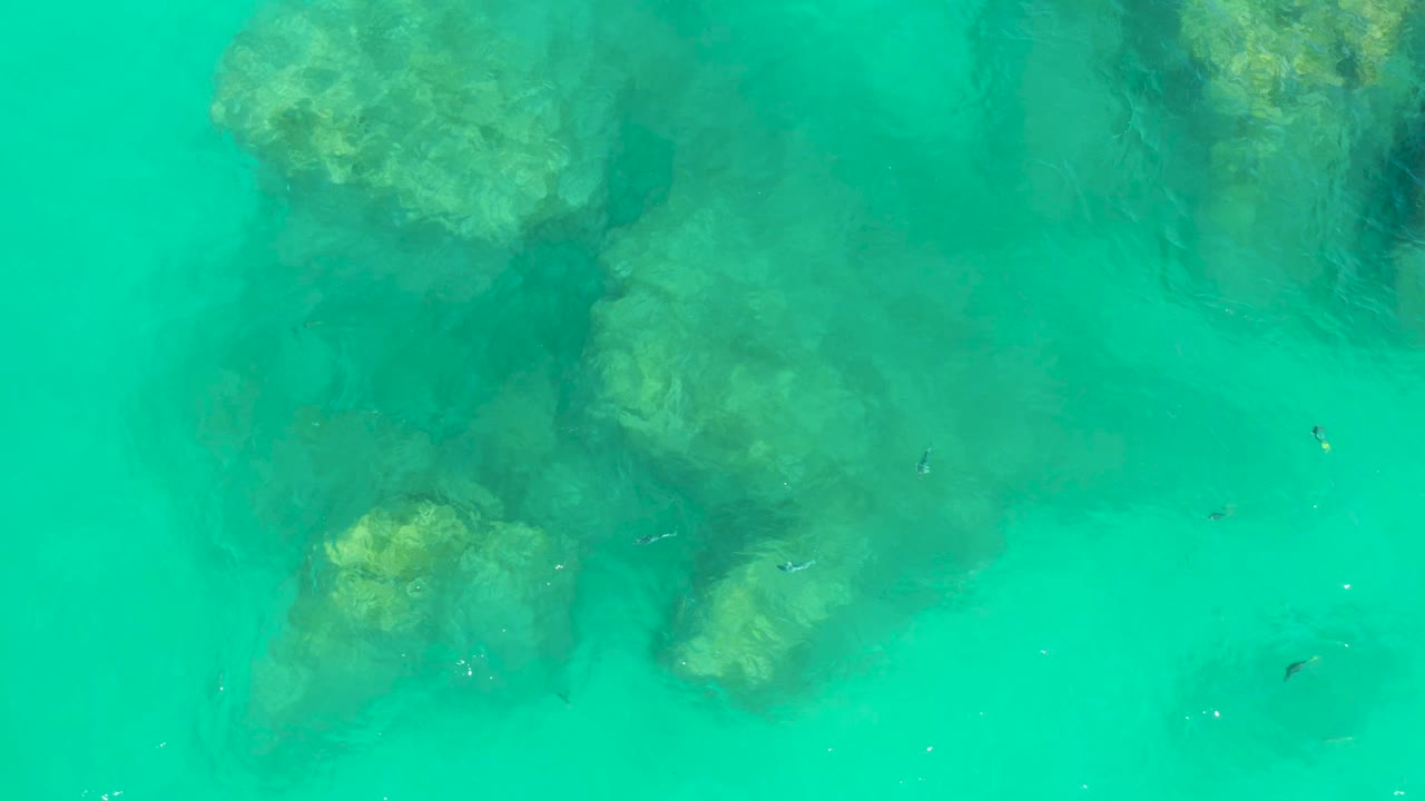 Overhead view of turquoise shallow water at Dreams Los Cabos with submerged rocks near the top and lower left, small fish in the open water, and no visible people.