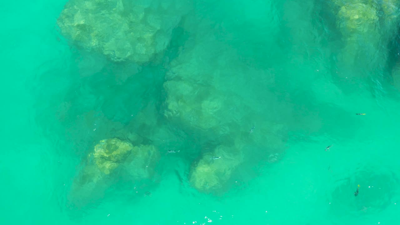 Overhead view at Dreams Los Cabos with pale and dark submerged rock forms visible under bright turquoise water, small fish near the midframe, and no visible people.