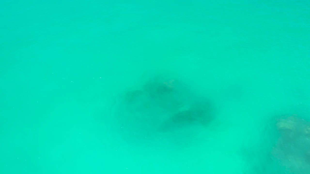 A stingray is visible through turquoise water above a pale sandy seabed at Dreams Los Cabos, with no visible people.