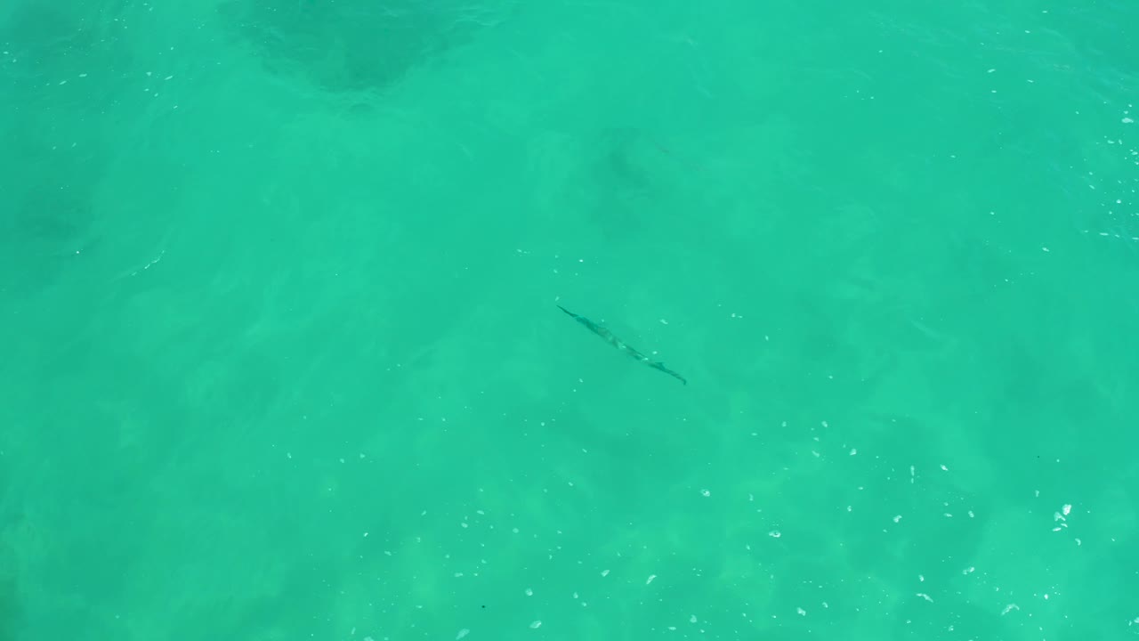 Overhead turquoise water with a small fish over sandy bottom.